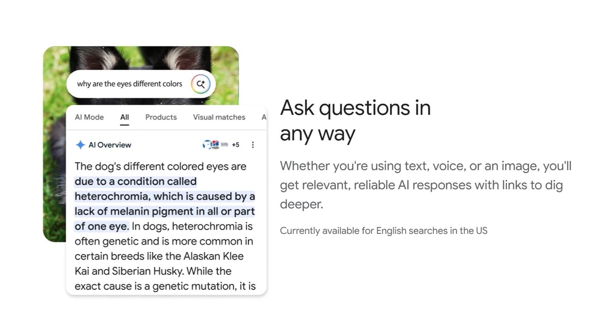 Gambaran Google AI Overview
Gambar: Google Gambaran Google AI Overview
Gambar: Google