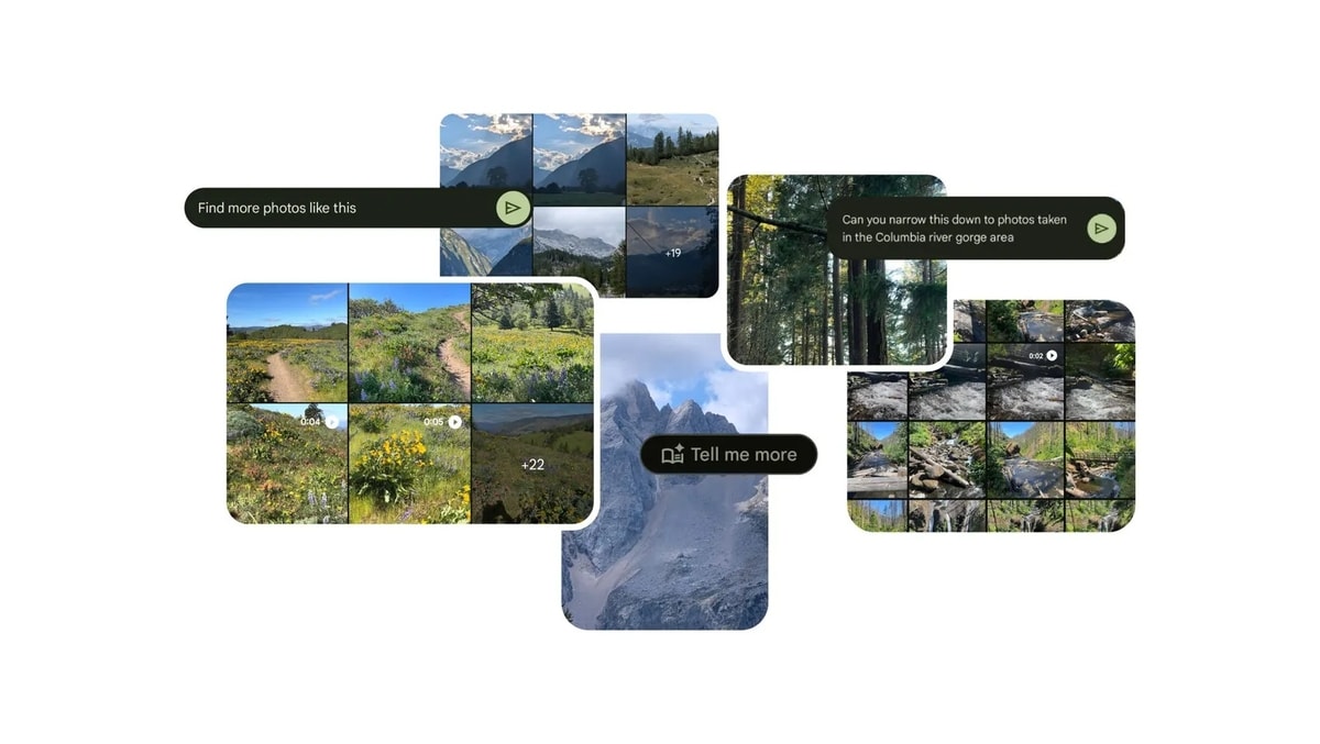 Ilustrasi pencarian gambar Google
Foto oleh Google