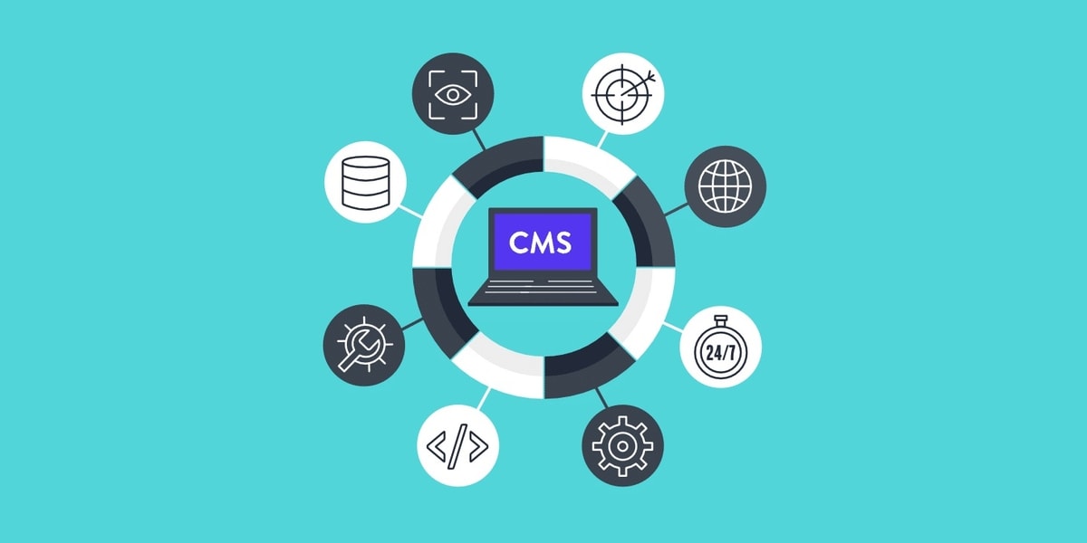 CMS manajemen website
Gambar: Kinsta.com